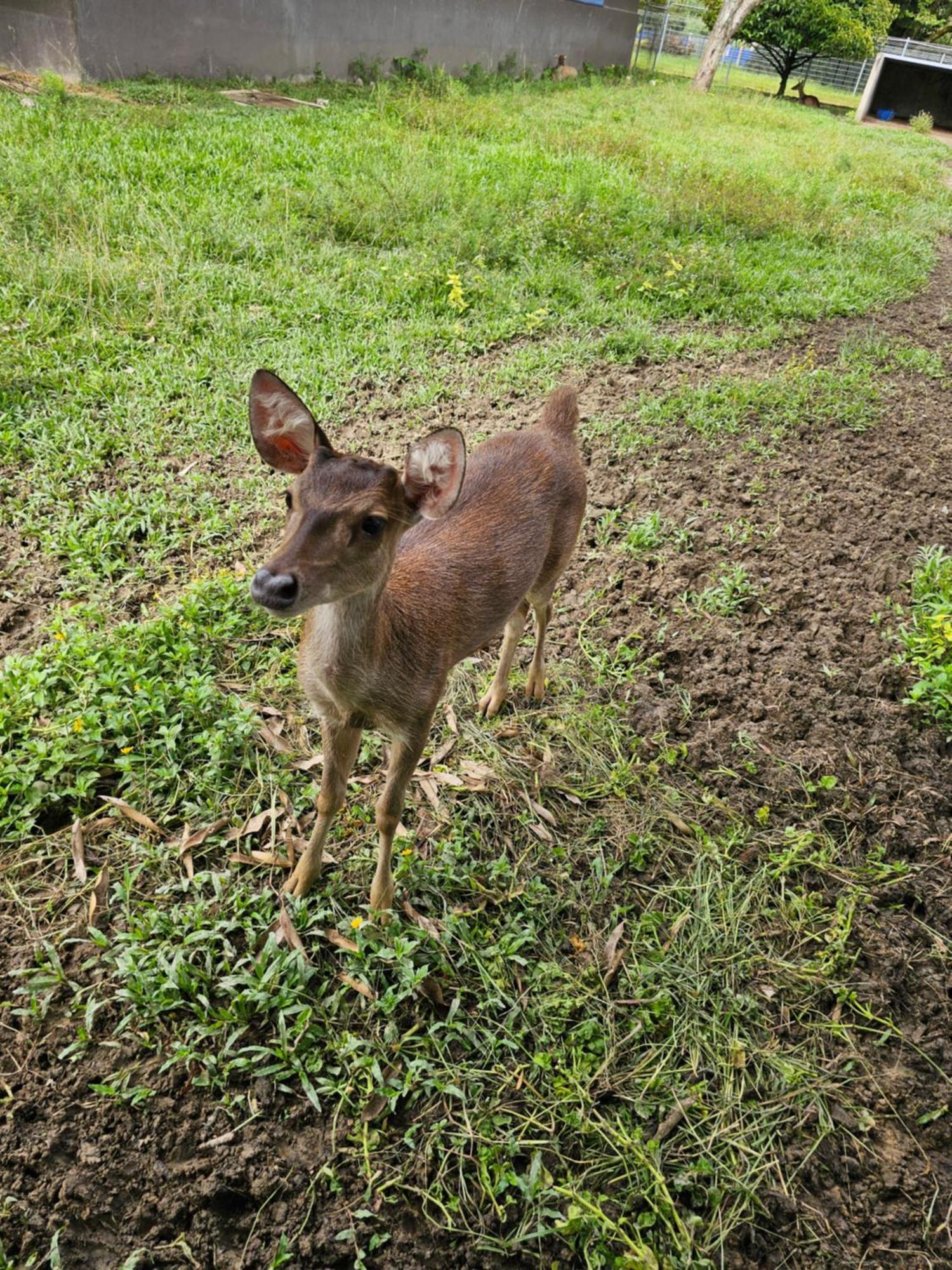 ホテル カラク オーチャード リゾーツ ベントン エクステリア 写真